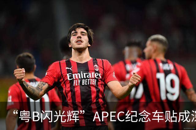 “粤B闪光辉”APEC纪念车贴成深圳车友新晋潮品