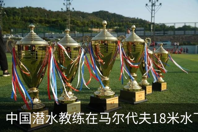中国潜水教练在马尔代夫18米水下遭3人拉拽：先后被脚踢、抓手臂、抓脸，潜水呼吸调节器和面镜差点被摘掉；涉事船宿方：已提交调查