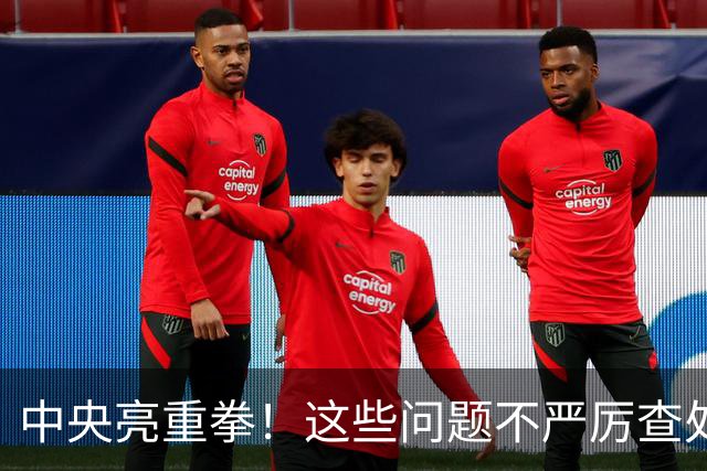 中央亮重拳！这些问题不严厉查处的，直接追究地方领导责任！