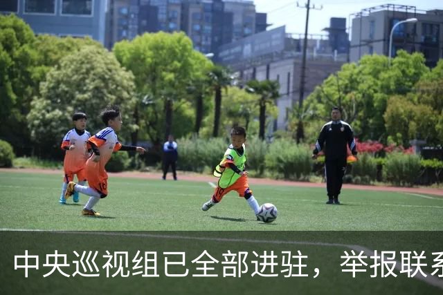中央巡视组已全部进驻，举报联系方式公布，这些问题抓紧反映！
