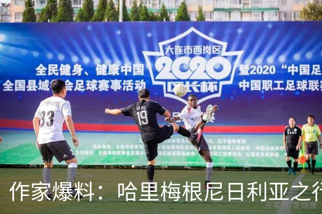 作家爆料：哈里梅根尼日利亚之行激怒查尔斯，曾讨论剥夺头衔