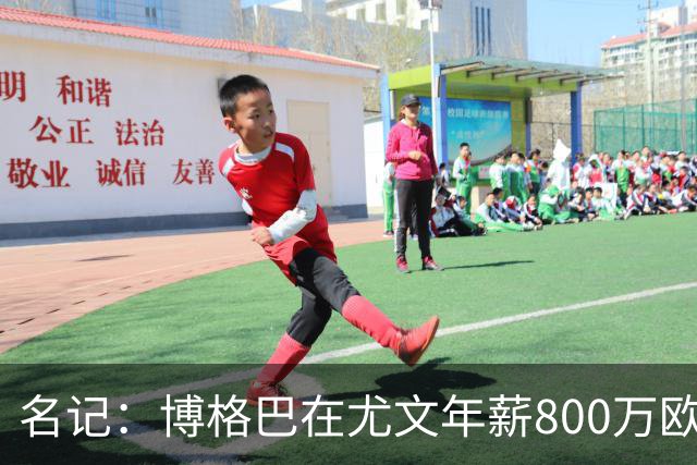 名记：博格巴在尤文年薪800万欧 经纪人佣金250万
