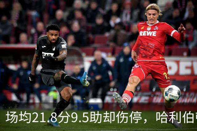场均21.8分9.5助却伤停，哈利伯顿将缺席一段时间