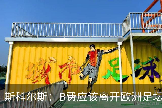 斯科尔斯：B费应该离开欧洲足坛，去沙特联赛，干脆别碍事
