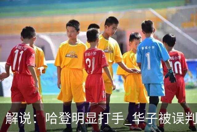 解说：哈登明显打手 华子被误判后偶尔也该发脾气抱怨下裁判