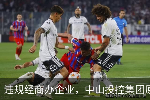 违规经商办企业，中山投控集团原高级顾问罗锐鸿被双开