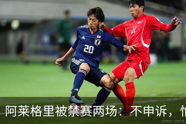阿莱格里被禁赛两场：不申诉，怕变成四场