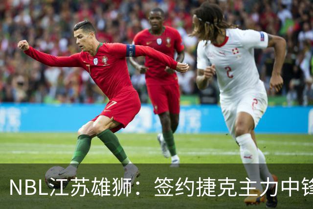 NBL江苏雄狮：签约捷克主力中锋昂德雷-巴尔文